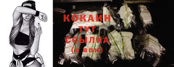 индика Киреевск