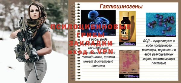 метадон Алексин