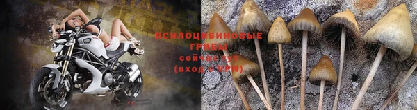а пвп мука Алзамай