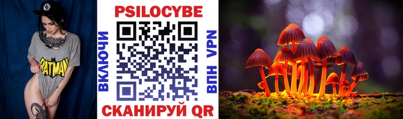 hydra ссылка  продажа наркотиков  Орехово-Зуево  Псилоцибиновые грибы Magic Shrooms 